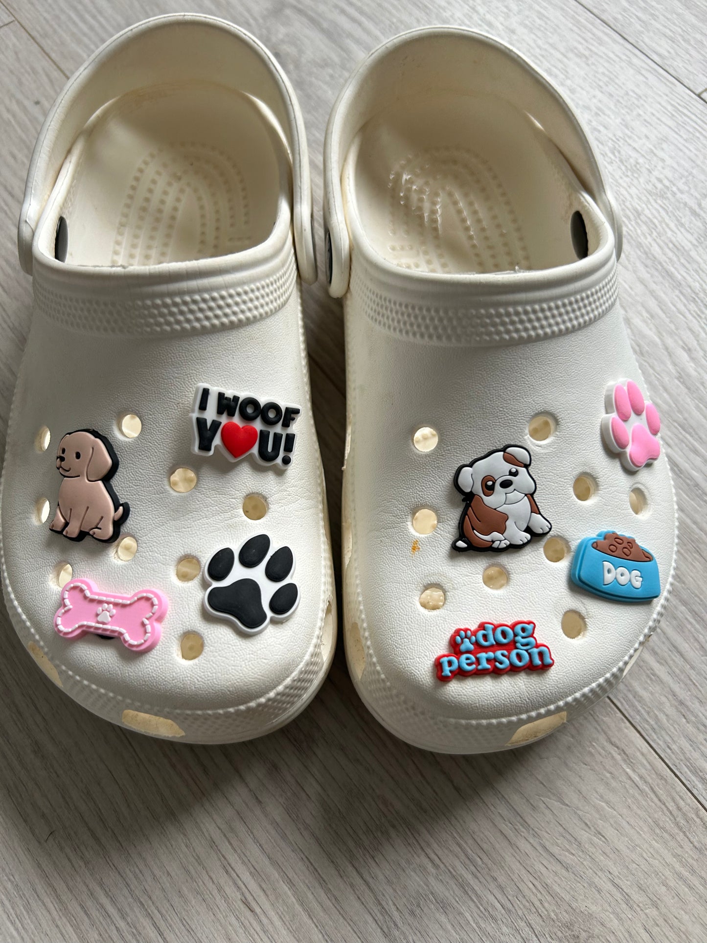 Dog Theme Shoe Charms (8 Pack)